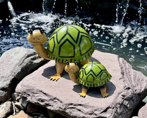 DUKE & DIXIE TURTLES AVAIL JAN 2026